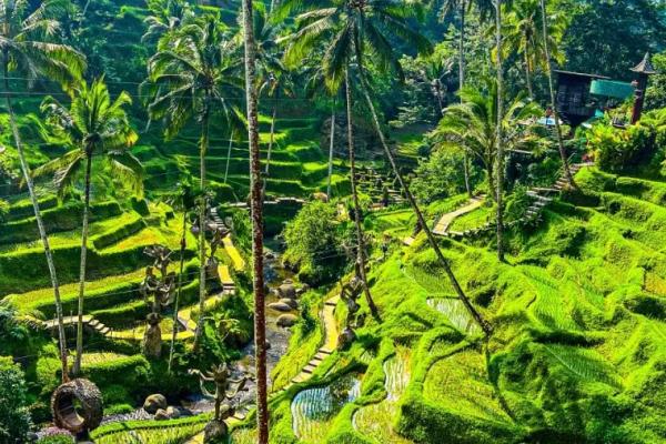  Singapore + Tour Bali la Meravigliosa + Bali Nusa Dua
